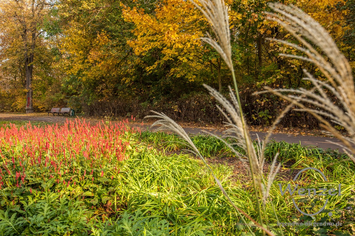 herbst-in-magdeburg-153-c-wenzel-oschington